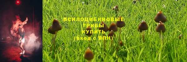 a pvp Алексеевка
