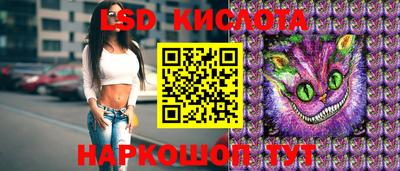 a pvp Владимир