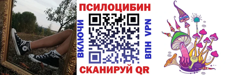 darknet наркотические препараты  где найти   Борзя  Псилоцибиновые грибы прущие грибы 