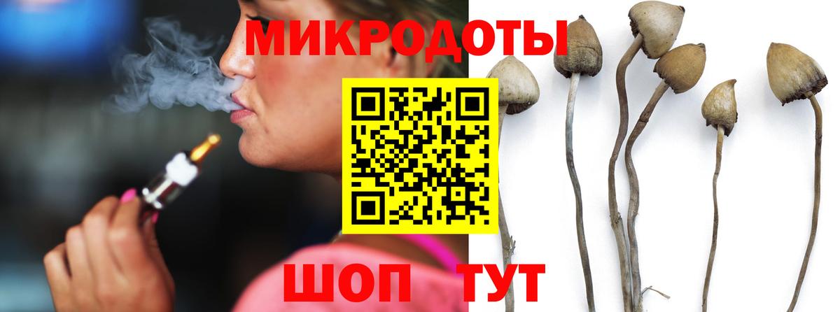 Борзя  Псилоцибиновые грибы GOLDEN TEACHER  Вход с VPN  Галлюциногенные грибы прущие грибы 
