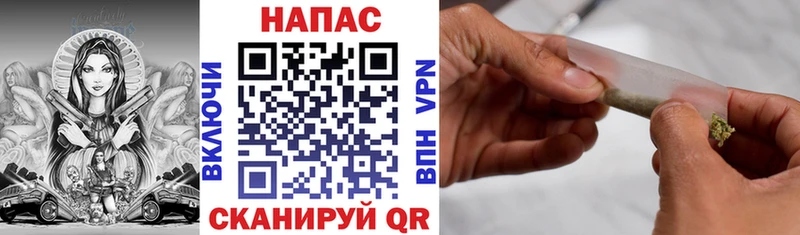 где купить наркоту  Борзя  Канабис план 